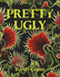 Pretty Ugly