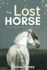 The Lost Horse-Book 6 in the Connemara Horse Adventure Series for Kids | the Perfect Gift for Children Age 8-12 (Connemara Adventures)