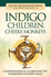Indigo Children & Cheeky Monkeys: Understanding & Celebrating the Uniqueness of Every Child