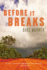 Before It Breaks (Dave Warner Crime)