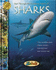 Sharks (Zoobooks)