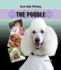 The Poodle (Our Best Friends)