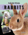 Rabbits (Our Best Friends)