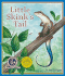 Library Book: Little Skink's Tail (Rise and Shine)