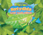 Katydids: Leaf Look-Alikes (Disappearing Acts)