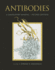 Antibodies: a Laboratory Manual, Second Edition