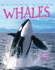Whales (Qeb: Books Are Fun 8, Animal Lives Series) [Single] [Paperback]