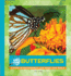Butterflies: a Close-Up Photographic Look Inside Your World (Up Close)
