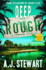 Deep Rough