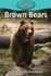 Brown Bears (55) (Elementary Explorers)