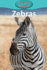 Zebras (60) (Elementary Explorers)