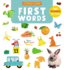 First Words: Over 500 Words to Learn! (Clever Encyclopedia)