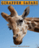 Giraffen Safari: Reise ins Giraffenreich