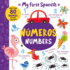 Numbers-Nmeros: More Than 80 Words to Learn in Spanish!