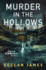 Murder in the Hollows (Jake Cashen Crime Thriller Series)