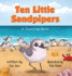 Ten Little Sandpipers: A Counting Book