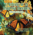 El Cuento de la Mariposa Monarca: Aventuras Montaa Marigold
