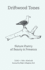 Driftwood Tones: Nature Poetry of Beauty and Presence