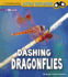 Dashing Dragonflies: a 4d Book (Little Entomologist 4d) (Smithsonian Little Explorer)