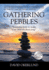 Gathering Pebbles: "Learning how to make your own chicken soup"