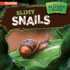 Slimy Snails (Animals That Slither and Slide)