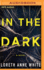 In the Dark: Vol 1