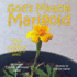 God's Miracle Marigold (Need 2 Read-Storytime)