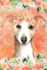 Journal Notebook for Dog Lovers Italian Greyhound in Flowers 5: 162 Lined and Numbered Pages With Index for Journaling, Writing, Planning and...Size. : Volume 15 (Journal Time Lined Series)
