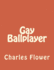 Gay Ballplayer