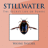 Stillwater: the Secret Life of Ponds