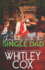 Christmas With the Single Dad