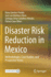 Disaster Risk Reduction in Mexico: Methodologies, Case Studies, and Prospective Views