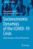 Socioeconomic Dynamics of the COVID-19 Crisis: Global, Regional, and Local Perspectives