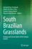 South Brazilian Grasslands