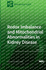 Redox Imbalance and Mitochondrial Abnormalities in Kidney Disease