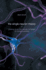 The Single-Neuron Theory