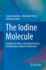 The Iodine Molecule: Insights Into Intra-and Intermolecular Perturbation in Diatomic Molecules