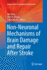 Non-Neuronal Mechanisms of Brain Damage and Repair After Stroke (Springer Series in Translational Stroke Research)
