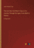 The Iron Star And What It Saw on Its Journey Through the Ages; From Myth to History: in large print
