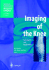 Imaging of the Knee: Techniques and Applications (Medical Radiology / Diagnostic Imaging)