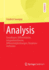 Analysis: Grundlagen, Differentiation, Integrationstheorie, Differentialgleichungen, Variationsmethoden