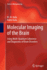 Molecular Imaging of the Brain: Using Multi-Quantum...