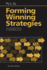 Forming Winning Strategies: an Integrated Theory of Habitual Domains