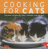 Cooking for Cats