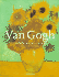 Vincent Van Gogh 1853-1890. Vision Et Réalité