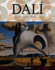 Dali (Big Art)