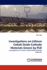 Investigations on Lithium Cobalt Oxide Cathode Materials Grown By Pld: Investigations on Lithium Cobalt Oxide Cathode Materials