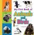 My First Book of Animals Birds