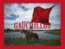 Gauchillos