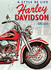 Harley-Davidson: a Style of Life